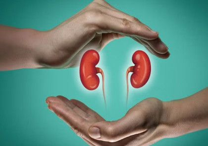 কিডনির ক্ষতি করছে যে ১৫ অভ্যাস