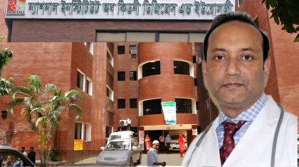 নিকডু'র নতুন পরিচালক হলেন রাশেদ আনোয়ার